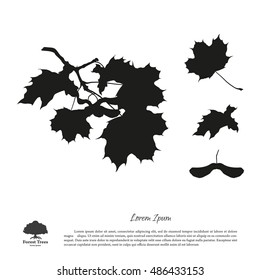 Black silhouette of maple branches on a white background. Vector illustration