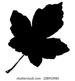 black silhouette of maple leaf