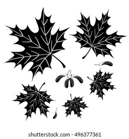 The black silhouette of a maple leaf