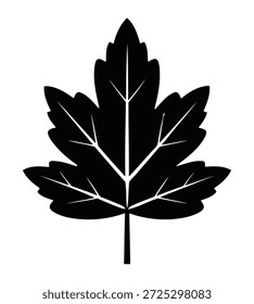 Una silueta negra de una hoja de arce con venas detalladas, aisladas sobre un fondo blanco. Esta forma icónica representa la naturaleza y el otoño.