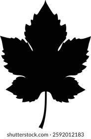 Black Silhouette of Maple Leaf with Five Lobes and Distinctive Points - Iconic Symbol of Canada
