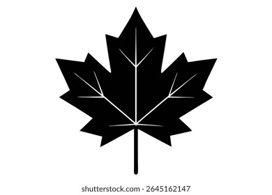 A black silhouette of a maple leaf is shown against a white background The image is a simple vector illustration with clean lines and a minimal style