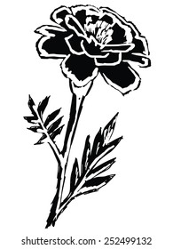 black silhouette of marigold