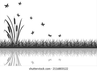 The Black Silhouette Of Marsh Grass With Flying Insects, Dragonflies Is Reflected In The Water.