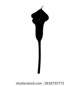 A black silhouette of a matchstick with a flame at the top, isolated on a white background, emphasizing simplicity and contrast.