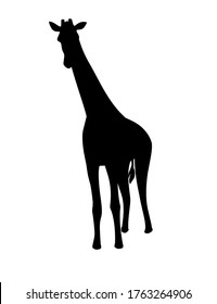 Black silhouette mature giraffe african animal with long neck cartoon animal design flat vector illustration isolated on white background