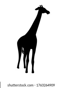 Black silhouette mature giraffe african animal with long neck cartoon animal design flat vector illustration isolated on white background