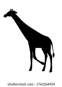 Black silhouette mature giraffe african animal with long neck cartoon animal design flat vector illustration isolated on white background