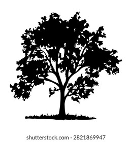 Black silhouette of a mature tree with dense leaves and branches, set against a plain white background, emphasizing natural form and structure.