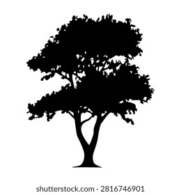 Black silhouette of a mature tree with expansive branches and lush foliage, isolated on a white background, emphasizing natural beauty and tree structure.