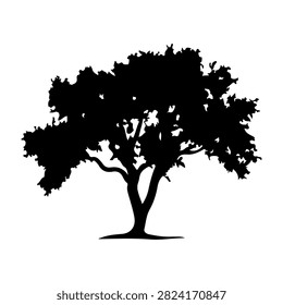 Black silhouette of a mature tree with expansive canopy and detailed branches, isolated on a white background.