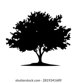 A black silhouette of a mature tree with full, leafy canopy and sturdy trunk, set against a plain white background, emphasizing natural beauty and growth.