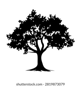 Black silhouette of a mature tree with full canopy and intricate branches, isolated on a white background, emphasizing natural beauty and growth.
