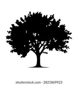 A black silhouette of a mature tree with lush, dense foliage and sturdy trunk, set against a plain white background.