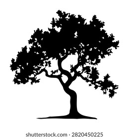 A black silhouette of a mature tree with sprawling branches and dense leaves, set against a plain white background, emphasizing natural form and structure.