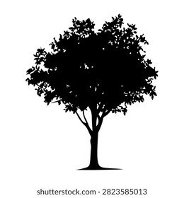 A black silhouette of a mature tree with thick, leafy canopy and sturdy trunk, set against a plain white background, emphasizing natural beauty and growth.
