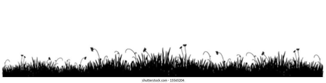 Black silhouette of a meadow grass on a white background