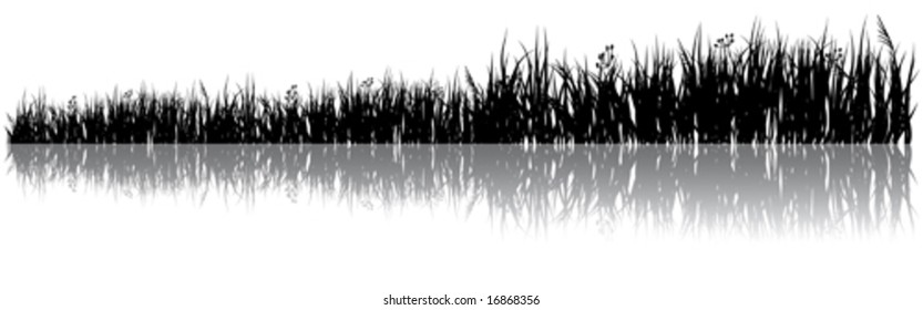 Black silhouette of a meadow grass with shadow on a white background