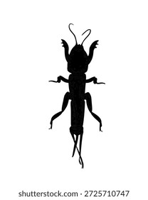 Silhueta preta de um desenho de vetor de críquete de toupeira. Ilustração do esboço do besouro subterrâneo para a lição de biologia, conceito da natureza. Forma de inseto de críquete para elemento de design gráfico da natureza. Bug Digger.
