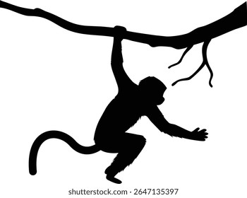 Black silhouette of a monkey hanging from a tree branch against a white background