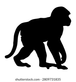 A black silhouette of a monkey in profile, highlighting its body shape and tail against a plain white background.
