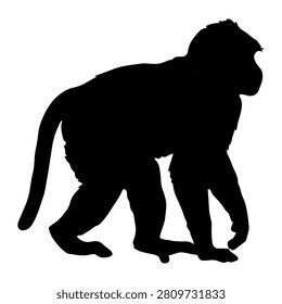 A black silhouette of a monkey in profile, showcasing its distinctive body shape and tail, set against a plain background.