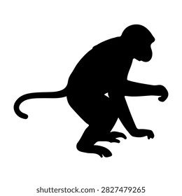 A black silhouette of a monkey in a sitting and climbing pose, emphasizing its agility and natural behavior in the wild.