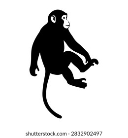 A black silhouette of a monkey sitting, isolated on a white background, emphasizing its shape and posture for wildlife or nature themes.
