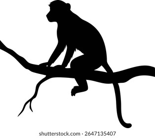 Black silhouette of a monkey sitting on a tree branch against a bright white background