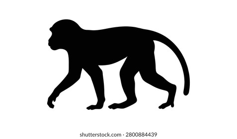 A black silhouette of a monkey walking on all fours against a white background silhouette primate mammal animal
