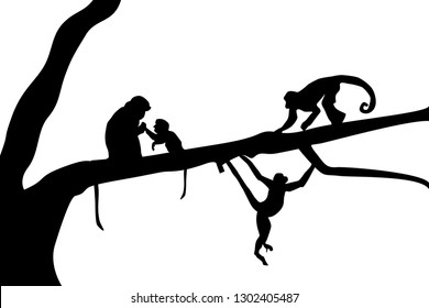 Black silhouette of monkeys on a tree.