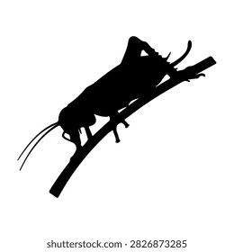 A black silhouette of a mountain climber ascending a steep, curved slope, emphasizing adventure, challenge, and outdoor exploration.