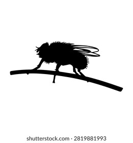 Black silhouette of a mouse with a long tail standing on a thin branch, isolated on a white background, emphasizing shape and form.