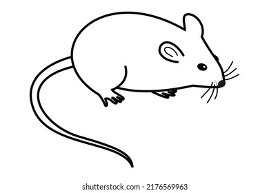 Black Silhouette Mouse Side Stock Vector (Royalty Free) 2176569963 ...