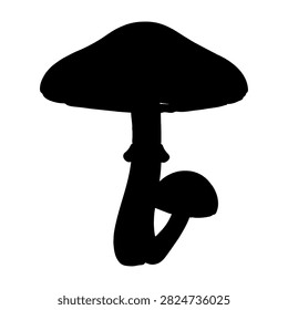 A black silhouette of a mushroom featuring a rounded cap and slender stem, isolated on a white background, emphasizing natural fungi shape.