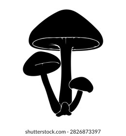 Black silhouette of mushrooms with different sizes and shapes, highlighting natural fungi diversity and organic growth patterns.