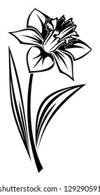 Black silhouette of narcissus flower. Vector illustration.