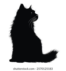 Black silhouette of a Nebelung