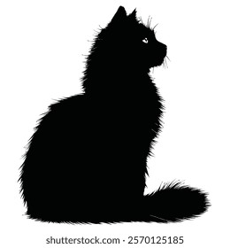 Black silhouette of a Nebelung