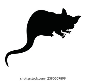 Black silhouette of North American opossum animal, vector illustration isolated on white background.