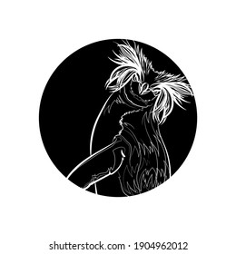 Black silhouette of the northern rockhopper penguin in black circle. Graphic drawing. Vector illustration.