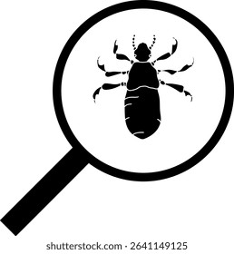 Black silhouette of nymph head louse (Pediculus humanus) under magnifying glass isolated on white background. Lice check	