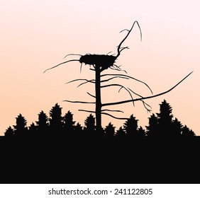 Black silhouette of the old tree with the nest towering over the forest