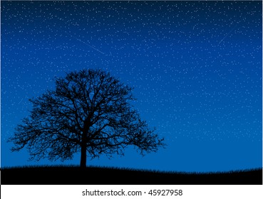 Black silhouette of old tree at night scene.