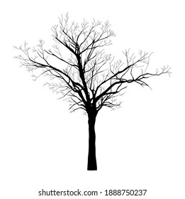 black silhouette of old tree - vector