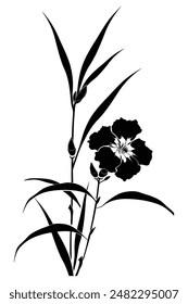 Black silhouette of oleander branch blooming with flower buds isolated on white background