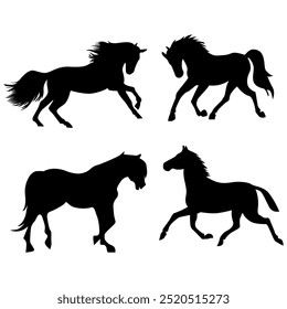 Black silhouette on white background