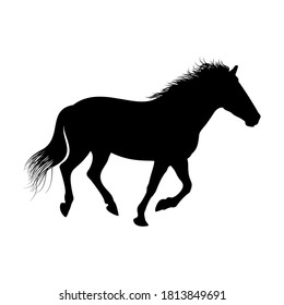 The black silhouette of one galloping horse is isolated on the white background.