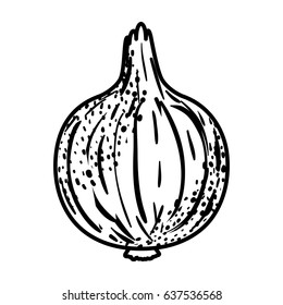 black silhouette of onion in closeup vector illustration