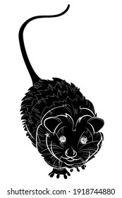 Black Silhouette Of The Opossum On White Background. Vector Illustration.